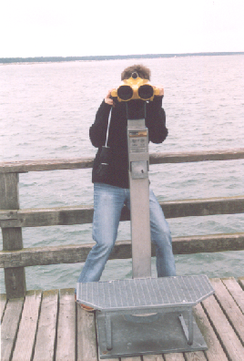 Beach Tour Pic 3