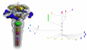 Contourtree in Fuel Dataset