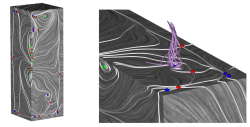 Swirling streamlines indicating existence of vortex above shear stress field sink (sink is located in lower right part of middle image) 